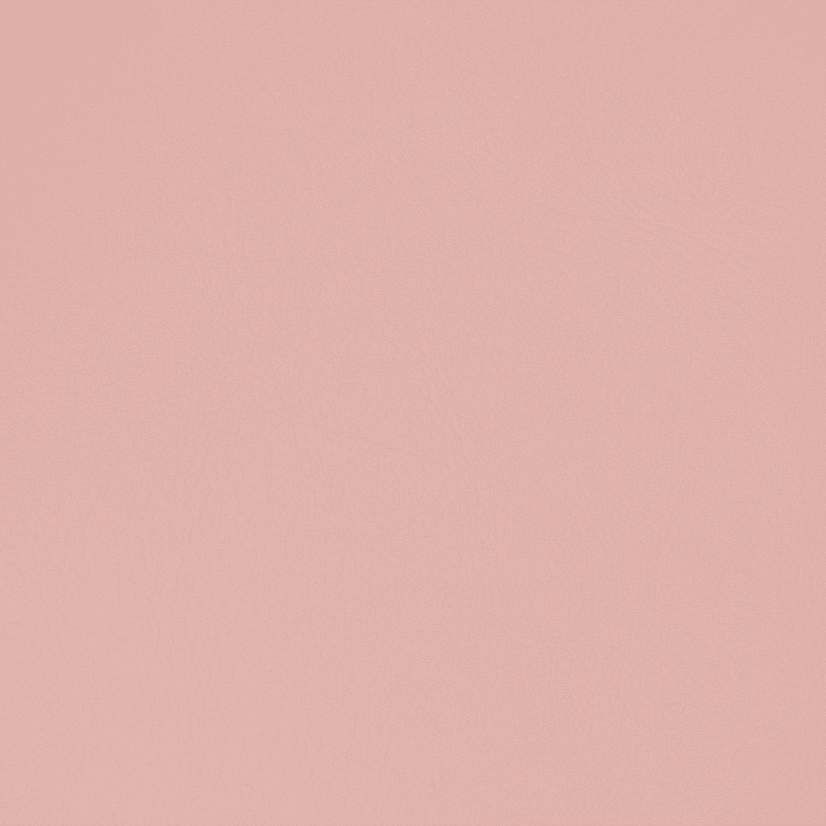 TC29 ROSE