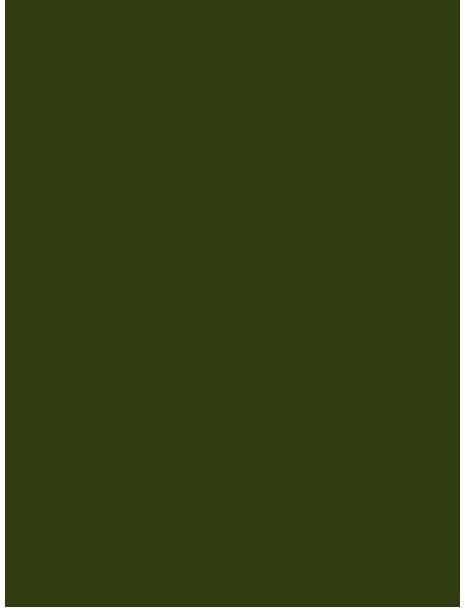 ES31 forest