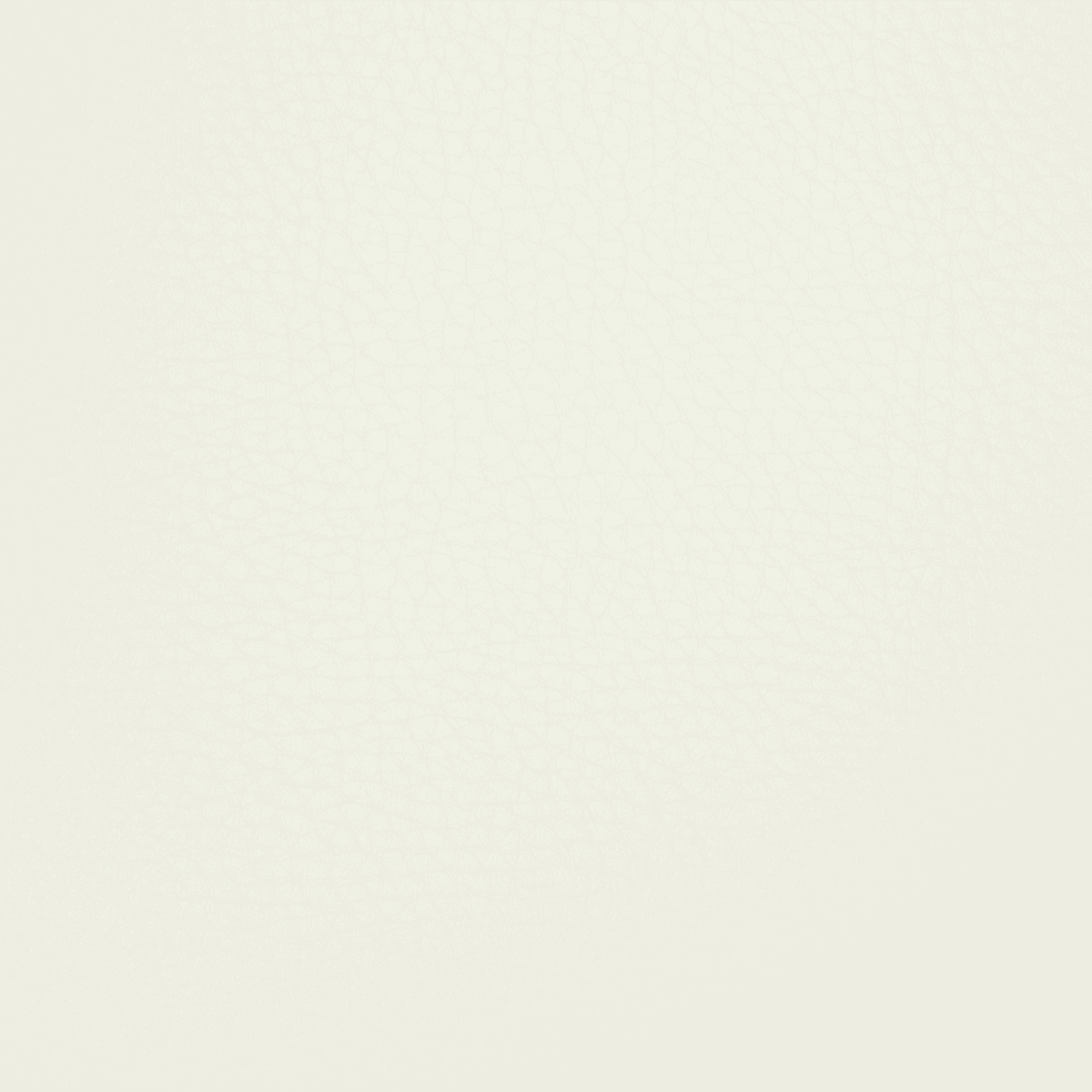 PT71 WHITE