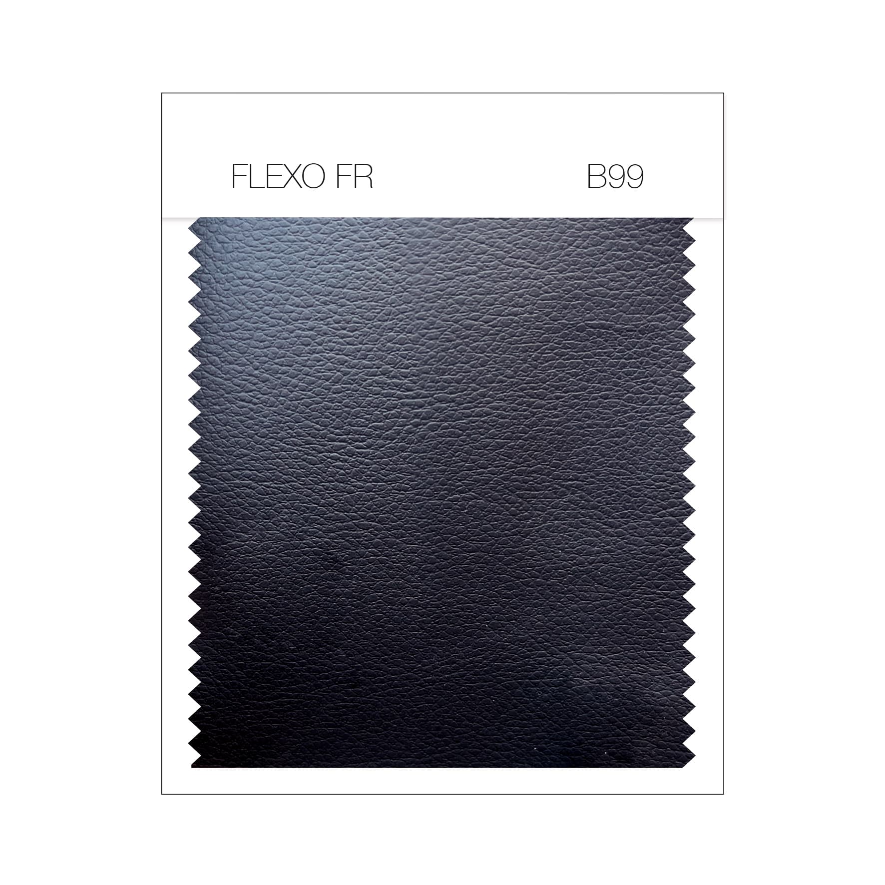 FLEXO FR B99.jpg