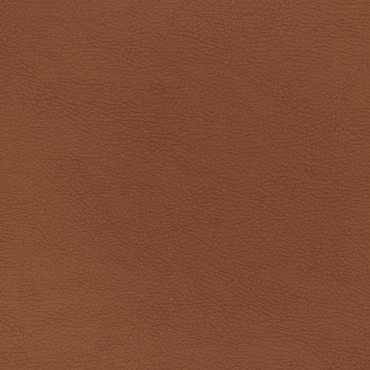 PT83 COGNAC