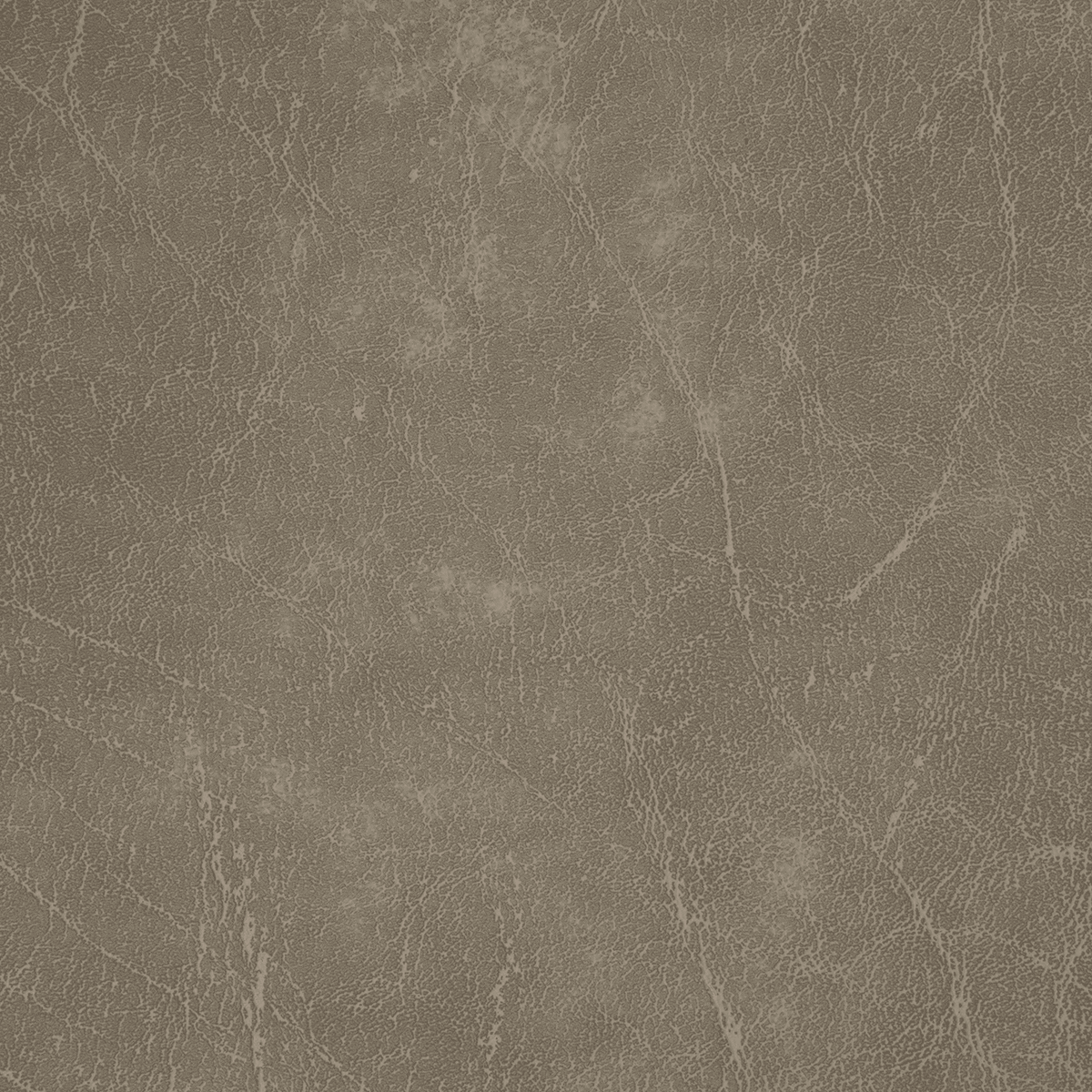TN31 FENNEL