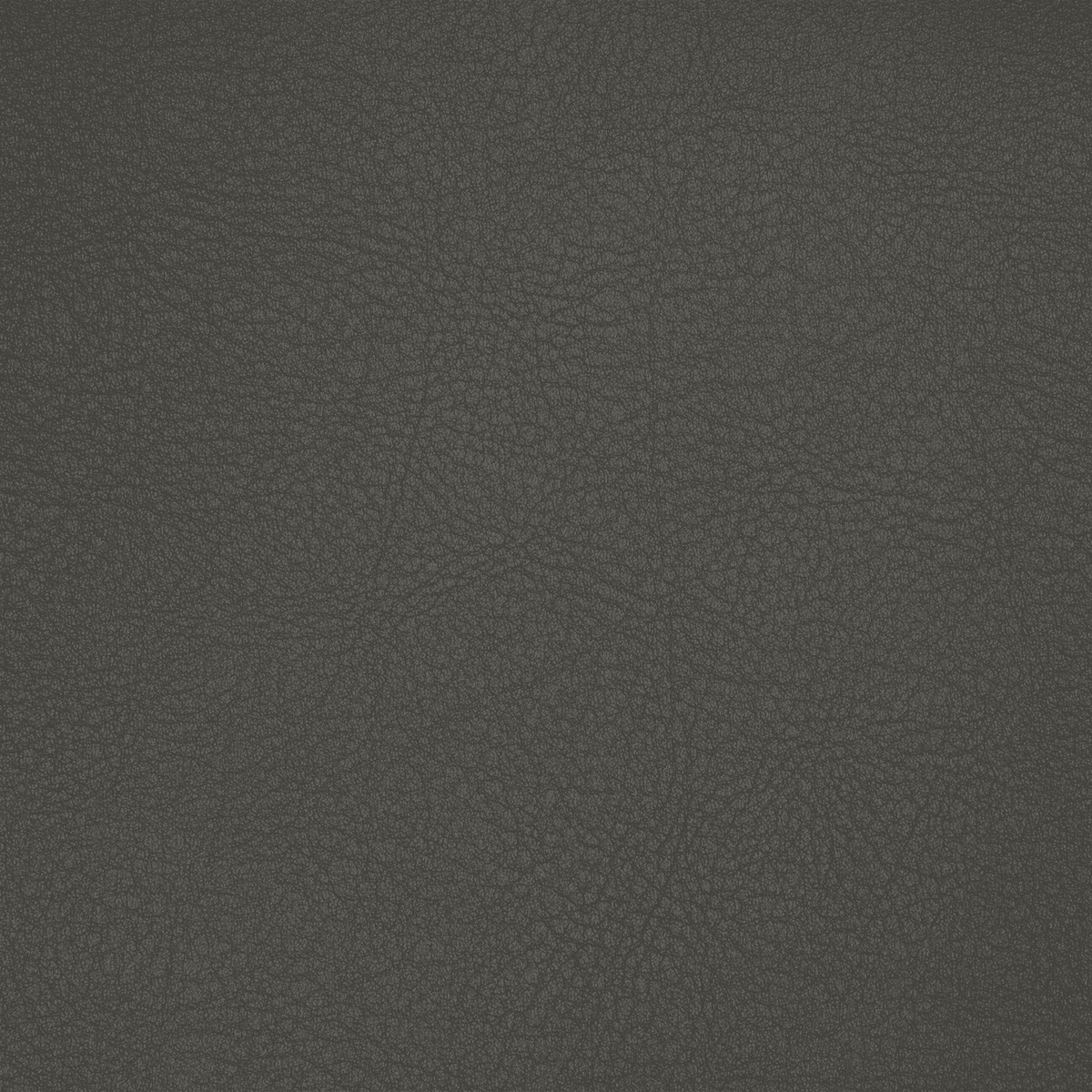 TC21 GRAPHITE