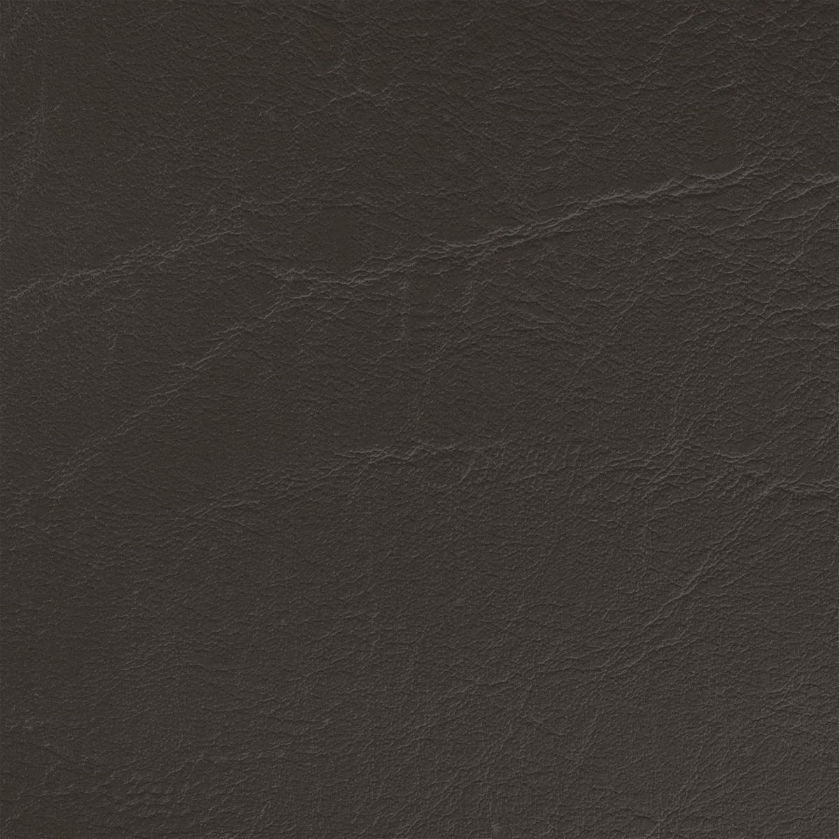 TN34 BLACK