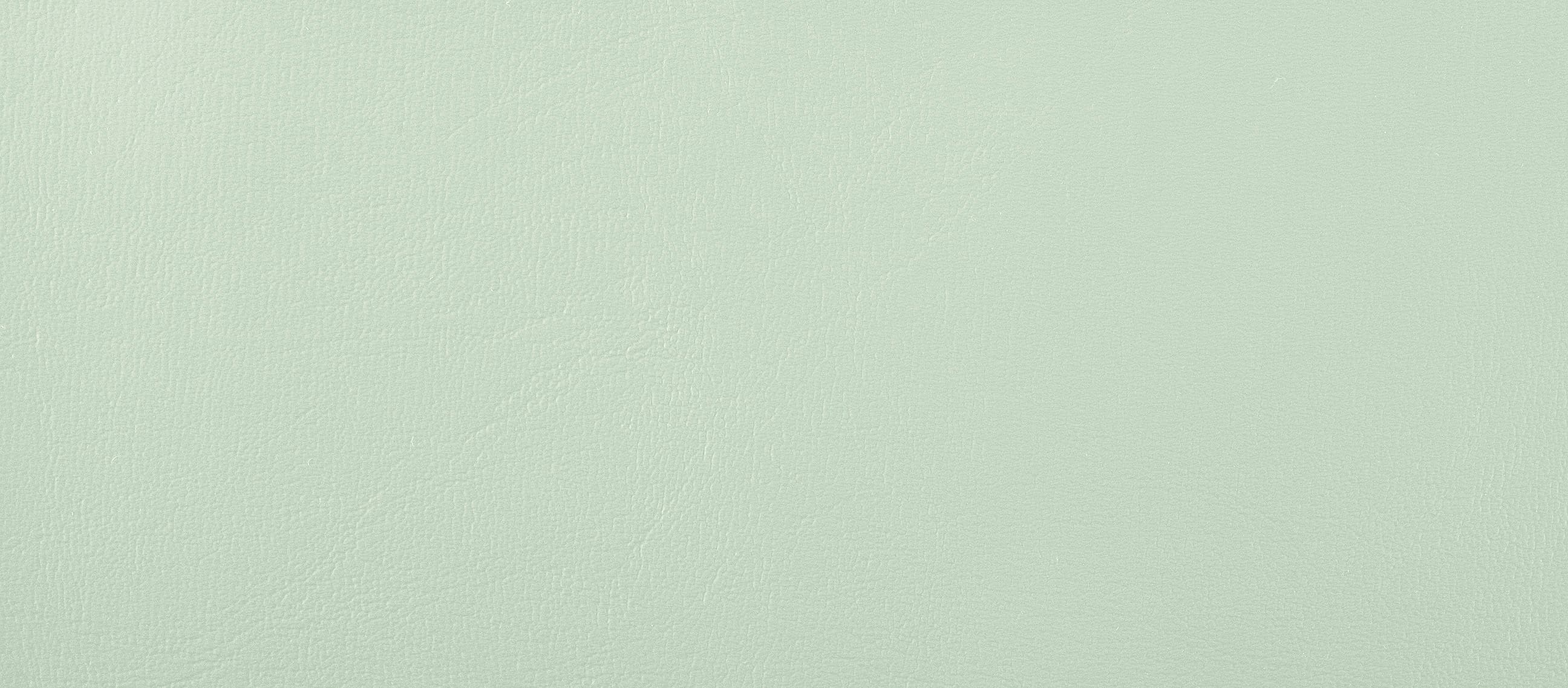 Compact_mint_C450.jpg