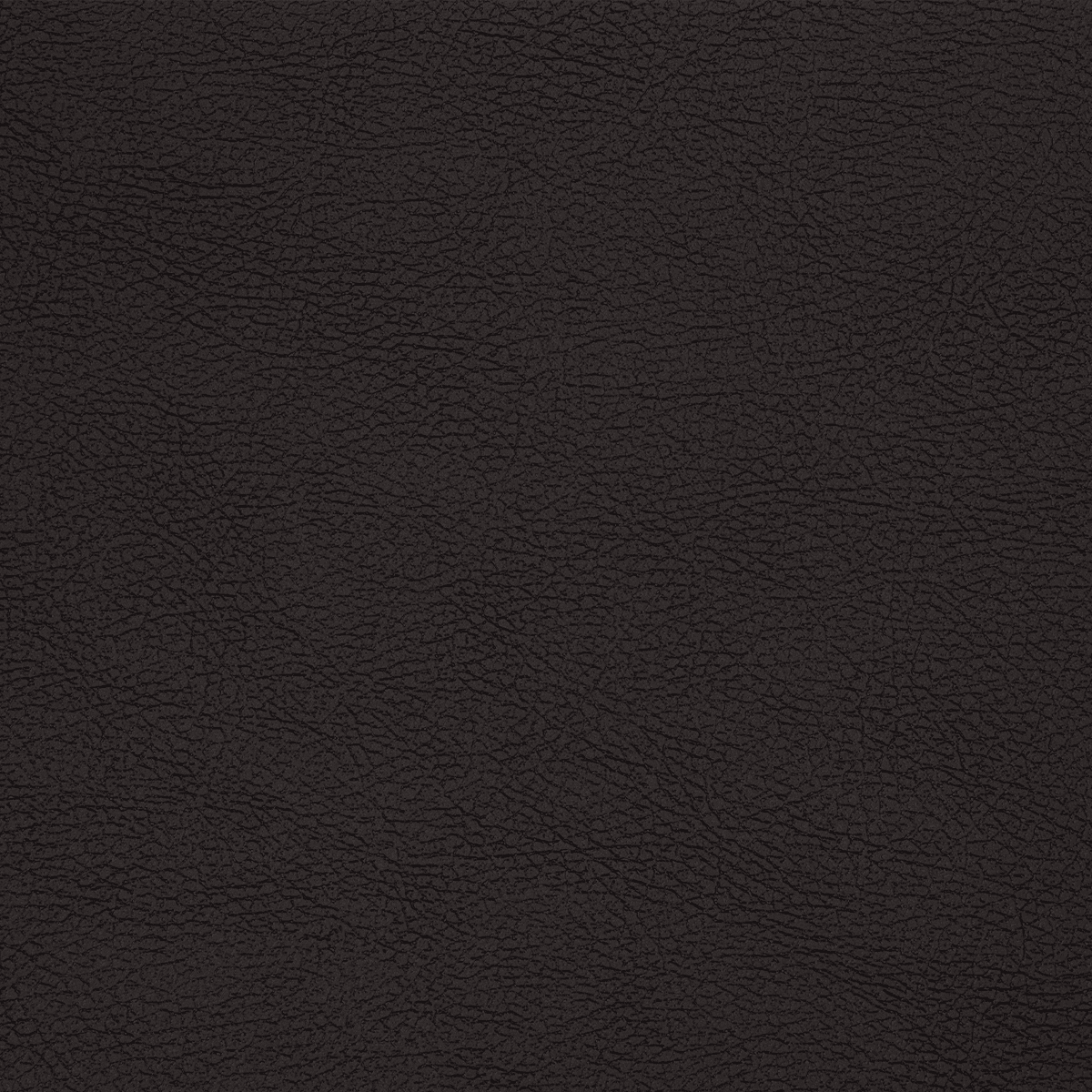 PT89 BLACK