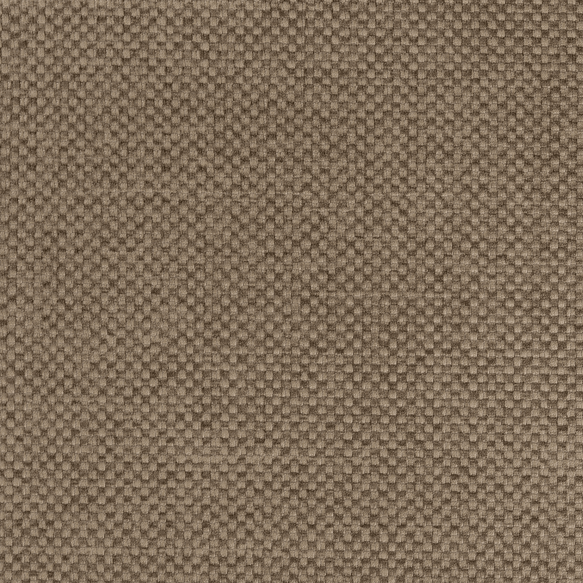TN71 TRUFFLE