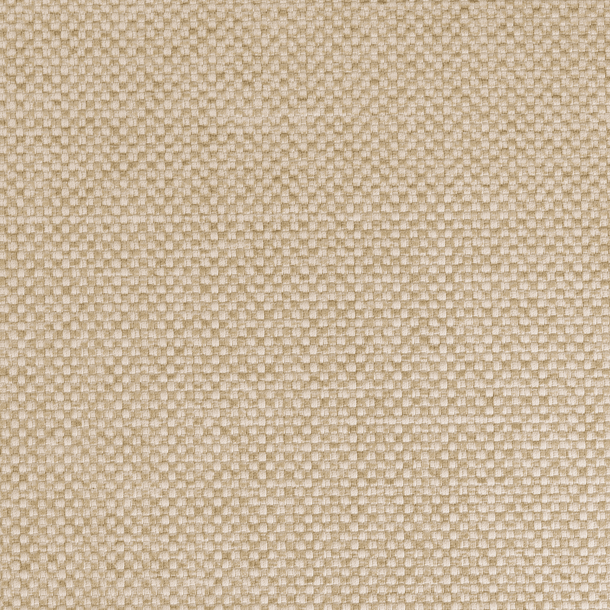 TN70 OAK