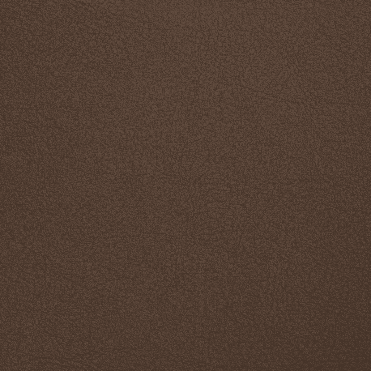 TC26 PRALINE