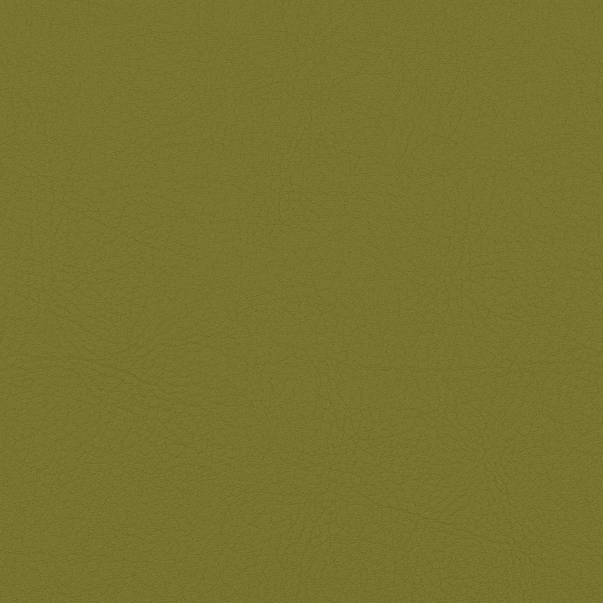 TC31 OLIVE