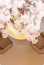 Inspiratie afbeelding