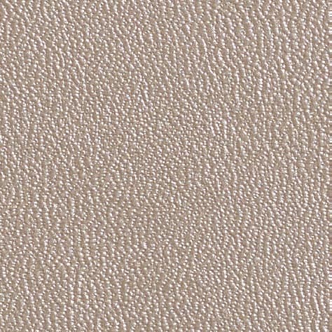 CN31 metallic beige